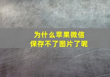 为什么苹果微信保存不了图片了呢