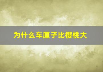 为什么车厘子比樱桃大