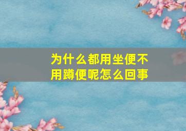 为什么都用坐便不用蹲便呢怎么回事