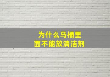 为什么马桶里面不能放清洁剂