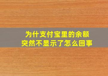 为什支付宝里的余额突然不显示了怎么回事