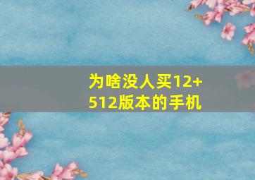 为啥没人买12+512版本的手机