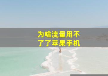 为啥流量用不了了苹果手机