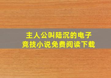 主人公叫陆沉的电子竞技小说免费阅读下载