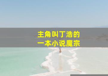 主角叫丁浩的一本小说魔宗