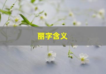 丽字含义