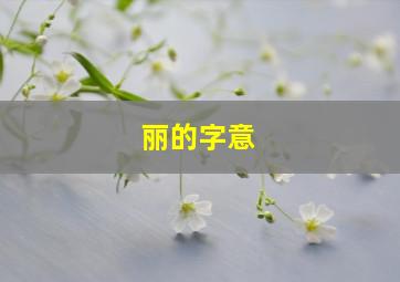 丽的字意