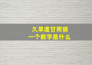 久旱逢甘雨猜一个数字是什么