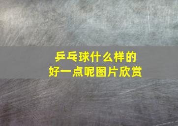 乒乓球什么样的好一点呢图片欣赏