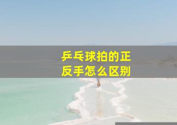 乒乓球拍的正反手怎么区别