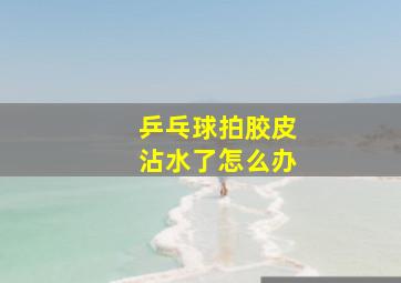 乒乓球拍胶皮沾水了怎么办