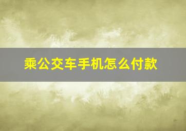 乘公交车手机怎么付款