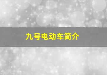 九号电动车简介