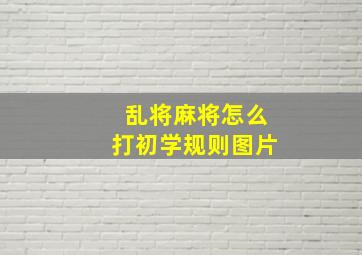 乱将麻将怎么打初学规则图片