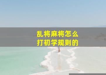 乱将麻将怎么打初学规则的