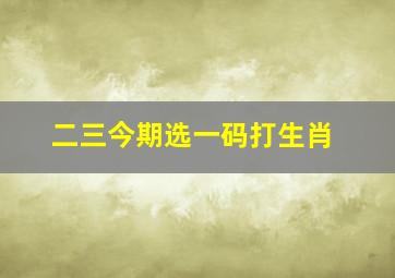 二三今期选一码打生肖