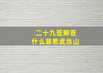 二十九签解签什么意思武当山