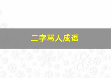 二字骂人成语