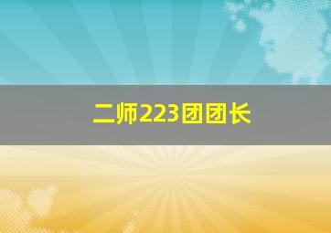 二师223团团长