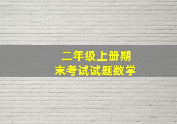 二年级上册期末考试试题数学