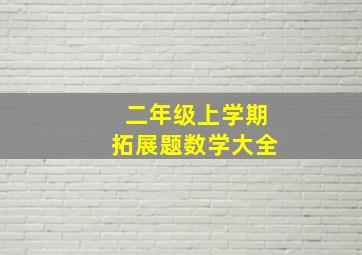 二年级上学期拓展题数学大全