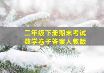 二年级下册期末考试数学卷子答案人教版