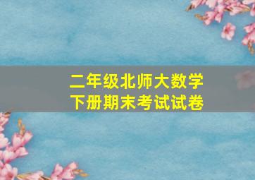 二年级北师大数学下册期末考试试卷