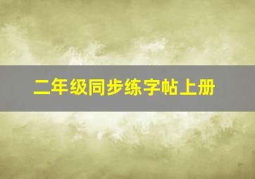 二年级同步练字帖上册