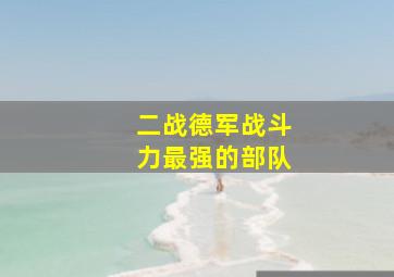 二战德军战斗力最强的部队