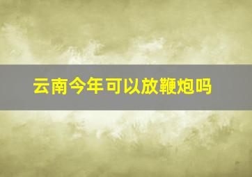 云南今年可以放鞭炮吗