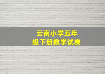 云南小学五年级下册数学试卷