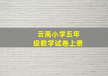 云南小学五年级数学试卷上册