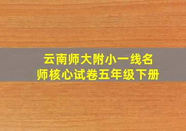 云南师大附小一线名师核心试卷五年级下册