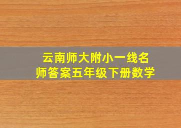 云南师大附小一线名师答案五年级下册数学