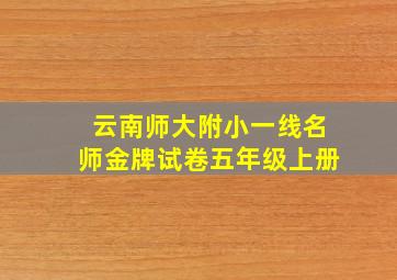 云南师大附小一线名师金牌试卷五年级上册