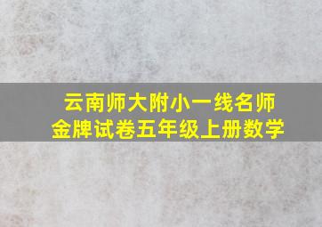 云南师大附小一线名师金牌试卷五年级上册数学