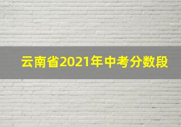 云南省2021年中考分数段