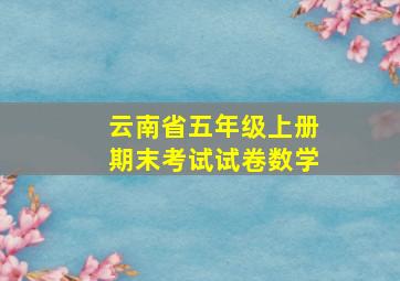 云南省五年级上册期末考试试卷数学