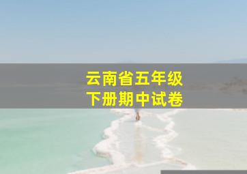 云南省五年级下册期中试卷