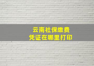 云南社保缴费凭证在哪里打印