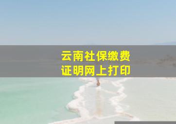 云南社保缴费证明网上打印