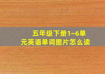 五年级下册1~6单元英语单词图片怎么读