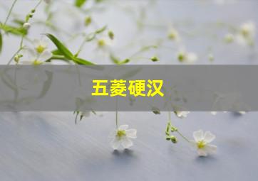 五菱硬汉