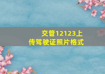 交管12123上传驾驶证照片格式