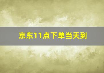 京东11点下单当天到