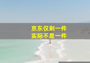 京东仅剩一件实际不是一件