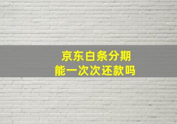 京东白条分期能一次次还款吗