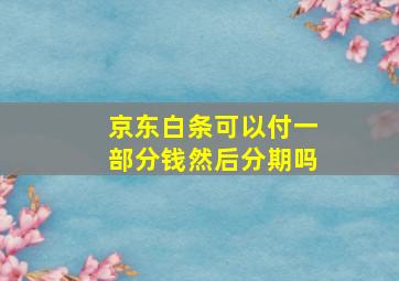 京东白条可以付一部分钱然后分期吗