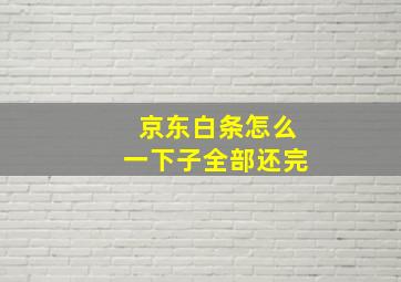 京东白条怎么一下子全部还完