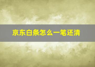 京东白条怎么一笔还清